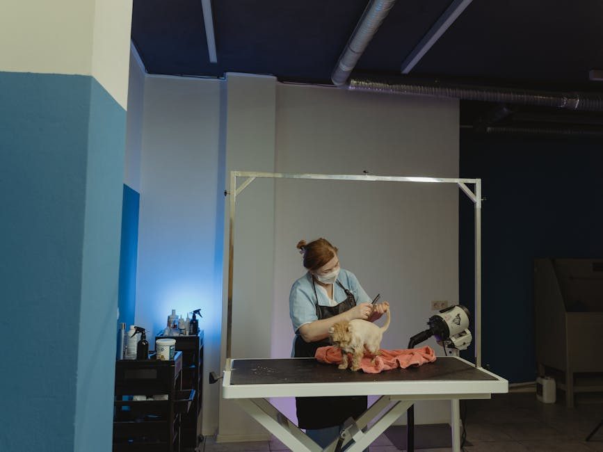 AI Αυτοματισμός για Pet Shops και Κέντρα Φροντίδας Κατοικιδίων: Πώς η Τεχνητή Νοημοσύνη Αλλάζει τον Κλάδο το 2026